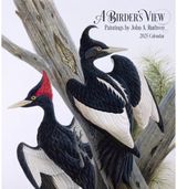 A Birders View:
