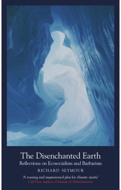 Disenchanted Earth Reflections on