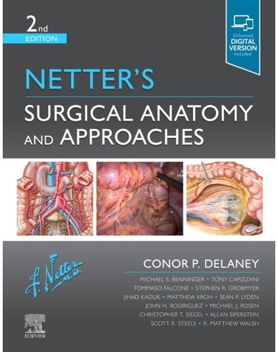 Netters Surgical Anatomy and Approaches