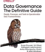 Data Governance: The Definitive Guide: People, Processes, and Tools to Operationalize Data Trustworthiness