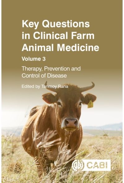 Key Questions in Therapy, Prevention