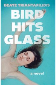 Bird Hits Glass