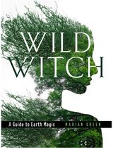 Wild Witch A Guide to Earth