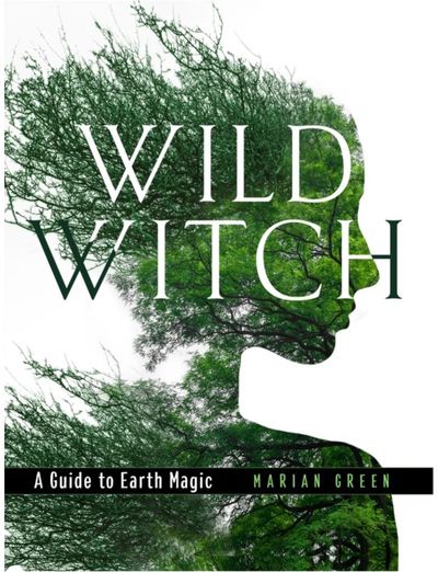 Wild Witch A Guide to Earth