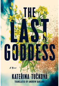 Last Goddess: A Novel A Novel