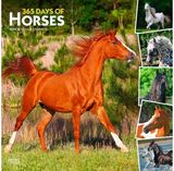 Horses 365 Days Of