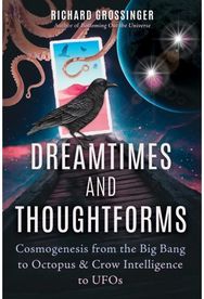 Dreamtimes and Thoughtforms: Cosmogenesis from the Big Bang to Octopus and Crow Intelligence to UFOs the Big Bang to Octopus and Crow Intelligence to UFOs