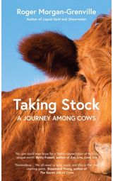 Taking Stock A Journey Among Cows