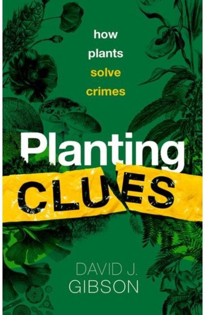 Planting Clues How plants solve
