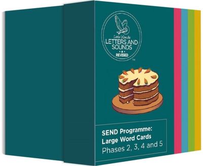 SEND Programme: Large Word Cards
