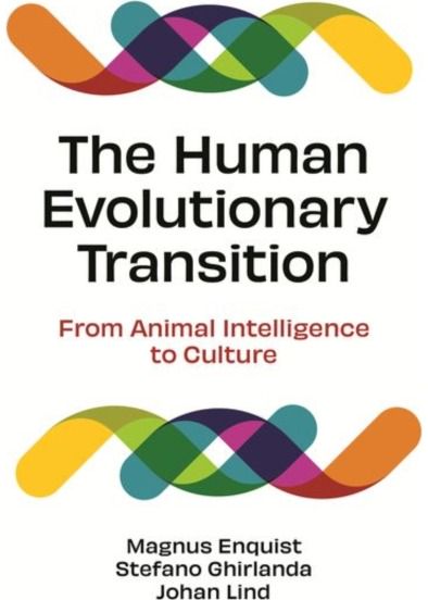 Human Evolutionary Transition