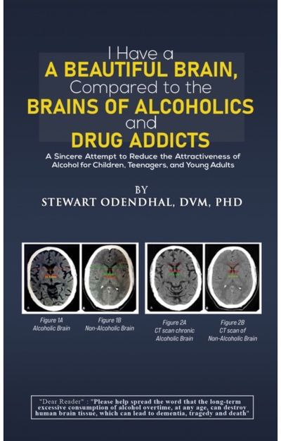 I Have a Beautiful A Sincere Attempt to