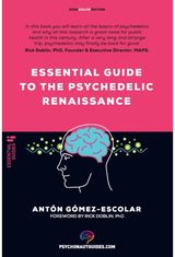 Essential guide to the Psychedelic Renaissance
