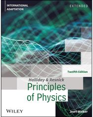 Principles of Physics: Extended, International Adaptation