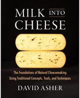 Milk Into Cheese The Foundations of