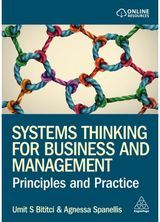 Systems Thinking for Business and Management