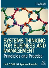 Systems Thinking for Business and Management: Principles and Practice