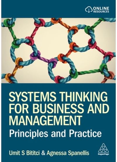 Systems Thinking for Business and Management