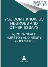 You Dont Know Us Negroes and Other Essays