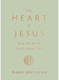 Heart of Jesus How He Really Feels about You