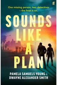 Sounds Like a Plan: Two rival detectives face off in this unputdownable hot thriller for summer 2024