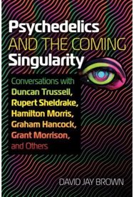 Psychedelics and the Coming Singularity: Conversations with Duncan Trussell, Rupert Sheldrake, Hamilton Morris, Graham Hancock, Grant Morrison, and Others