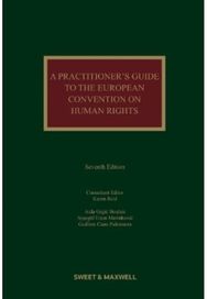 Practitioners Guide to the European Convention on Human Rights
