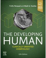 Developing Human