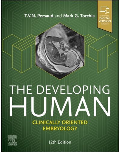 Developing Human