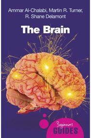 Brain: A Beginner's Guide