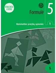 Formulė. 1-asis matematikos pratybų sąsiuvinis 5 klasei, serija Šok (atnaujintas leidimas)