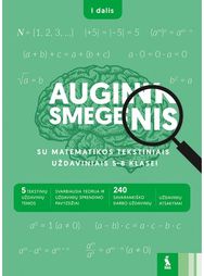 Matematikos tekstiniai uždaviniai 5–8 klasei, serija Augink smegenis, 1 dalis