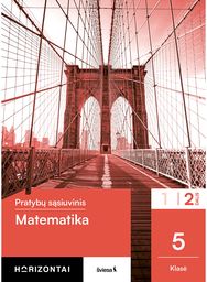 Matematika. Pratybų sąsiuvinis 5 klasei, 2 dalis, serija Horizontai