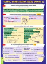  - Nosinių raidžių rašyba žodžių šaknyse II d. - 000000000004142259