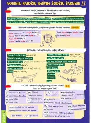  - Nosinių raidžių rašyba žodžių šaknyse II d. - 000000000004142259