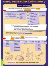  - Nosinių raidžių rašyba žodžių šaknyse I d. - 000000000004142260