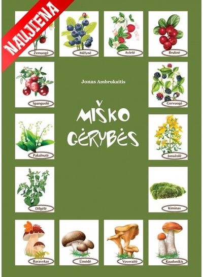 Jonas Ambrukaitis - Miško gėrybės - 000000000004143212