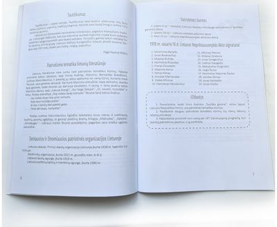 Jonas Ambrukaitis - Asmenybės branda. Saviugdos priemonė - 000000000004143431