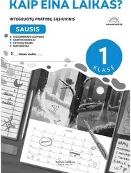 Vaivorykštė 1 kl. Pratybos. Sausis