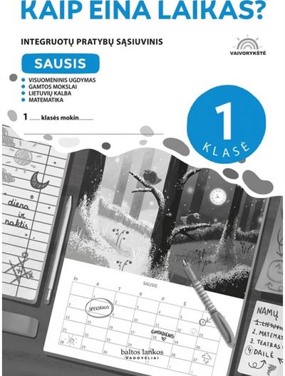 Vaivorykštė 1 kl. Pratybos. Sausis