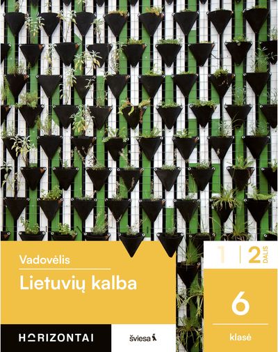 Lietuvių kalba. Vadovėlis 6 klasei, 2 dalis, serija Horizontai