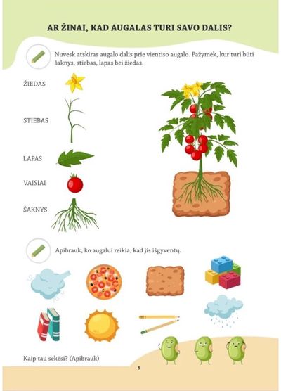 Augalai: (ne)paprasti STEAM atradimai: užduočių knyga