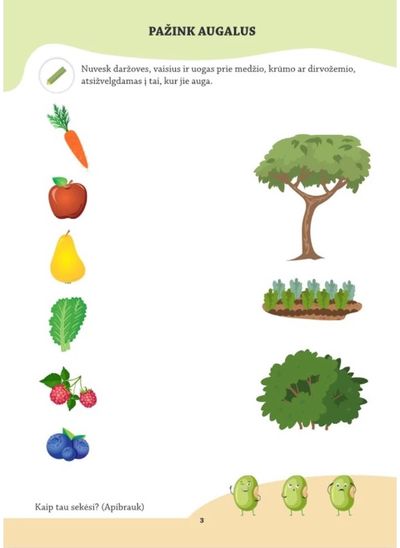 Augalai: (ne)paprasti STEAM atradimai: užduočių knyga