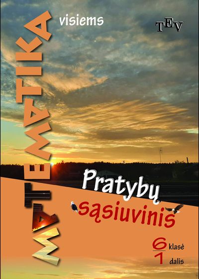 Matematika visiems. Pratybų sąsiuvinis 6 klasei, 1 dalis