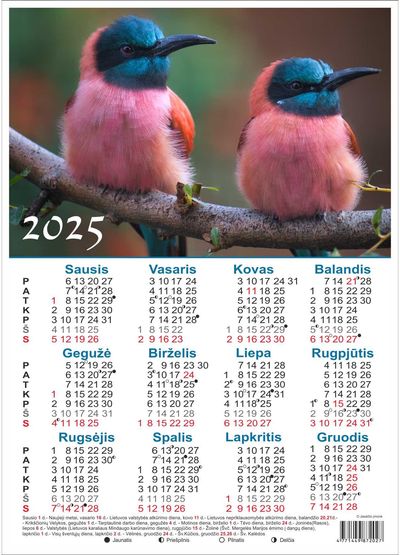 Kalendorius plakatas 2024 A3
