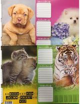 Pamokų tvarkaraščiai