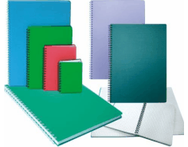 Sąsiuvinis SM-LT PP su spirale, A4, 96 l., langeliais