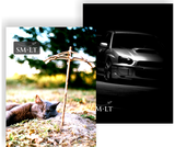 Dėklas sąsiuviniams SM-LT su gumele, A4