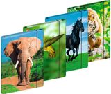 Dėklas sąsiuviniams BRUNNEN su gumele, A4, įv.rūšių