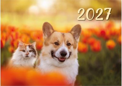 Sieninis kalendorius su juostele trigubas, 2027